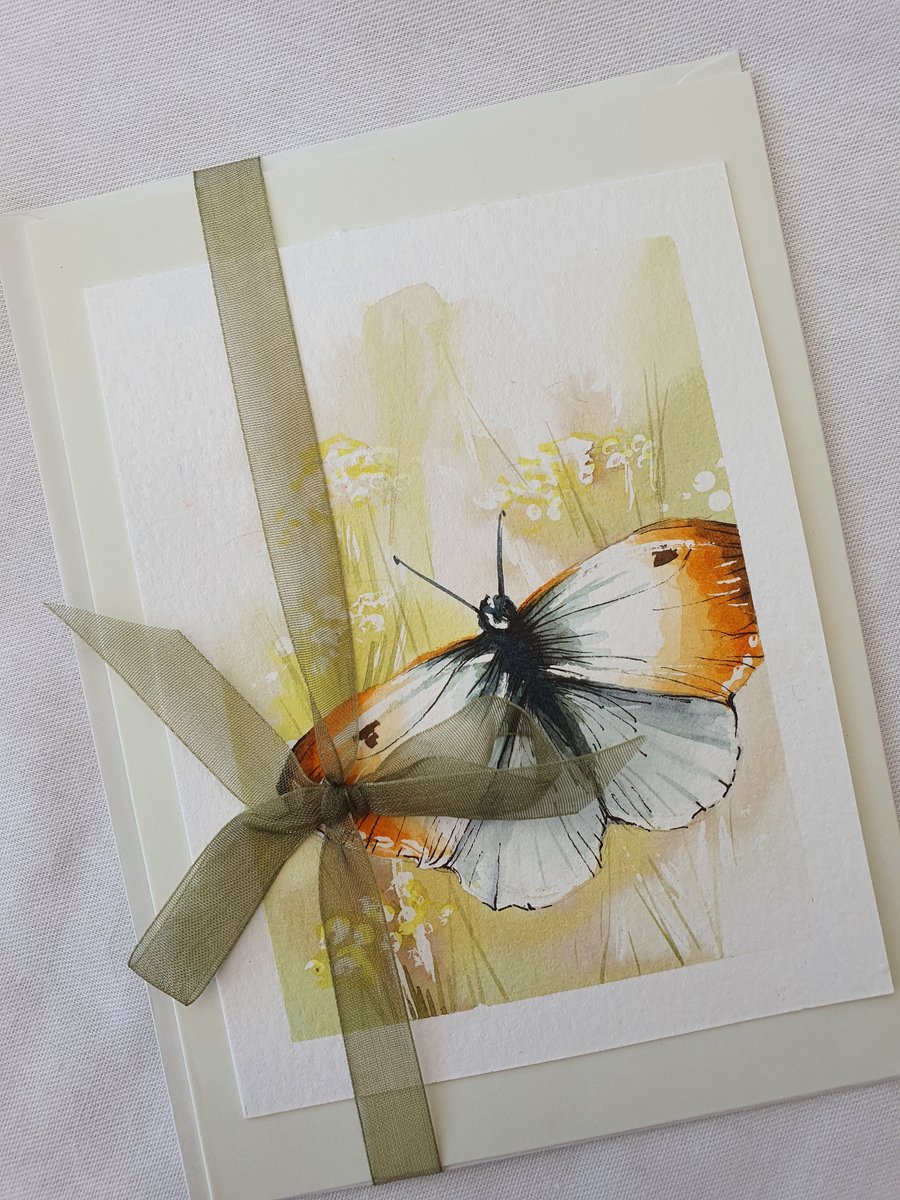 Hand painted blank greeting card - orange  tip butterfly & ribbon 
