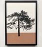 Ashdown Pine no.60, original A4 artwork, hand drawn, painted, autumn brown - Image 3
