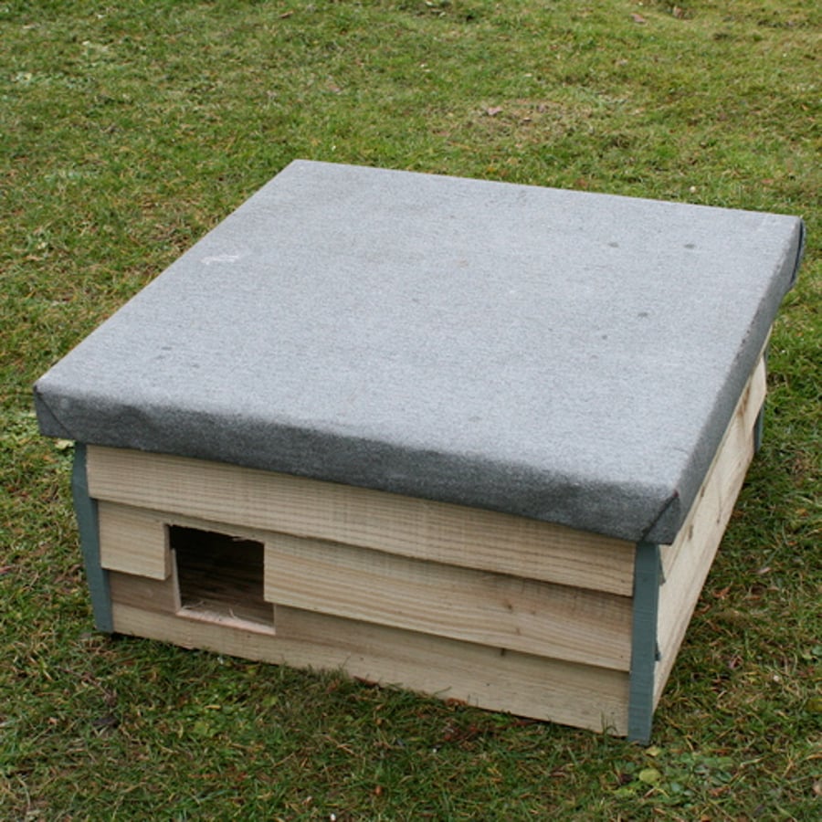 Hedgehog house.