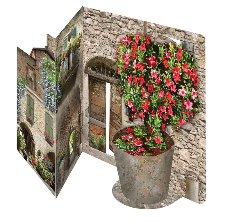 Italian Floral Courtyard 3D greeting card