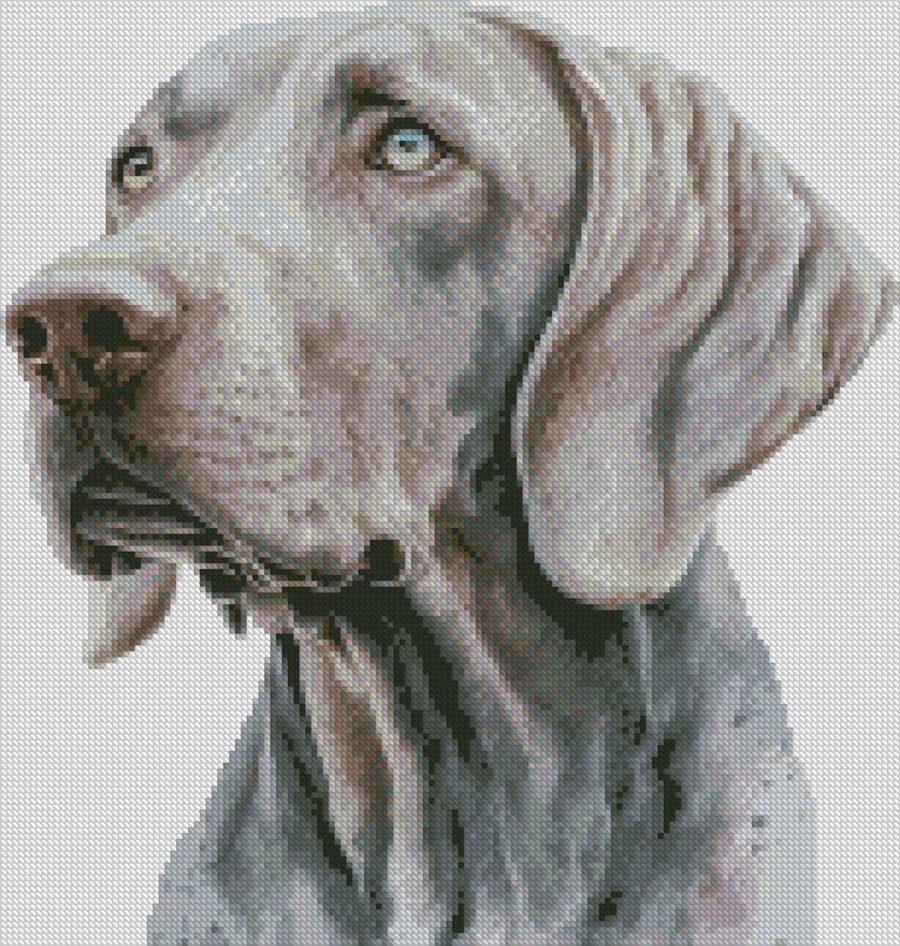 Complete Counted Cross Stitch Kit Weimaraner Dog 1 Small TDCC DWEIM01