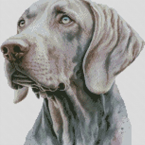 Complete Counted Cross Stitch Kit Weimaraner Dog 1 Small TDCC DWEIM01
