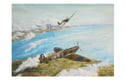 Aviation Greeting Cards