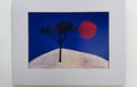 Digital and Fine Art Prints