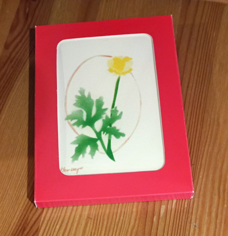 Variety of card designs for Gift Boxes of 5 cards, gift under 15 pounds