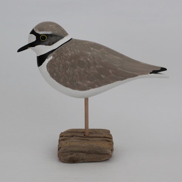 Little ringed plover on driftwood