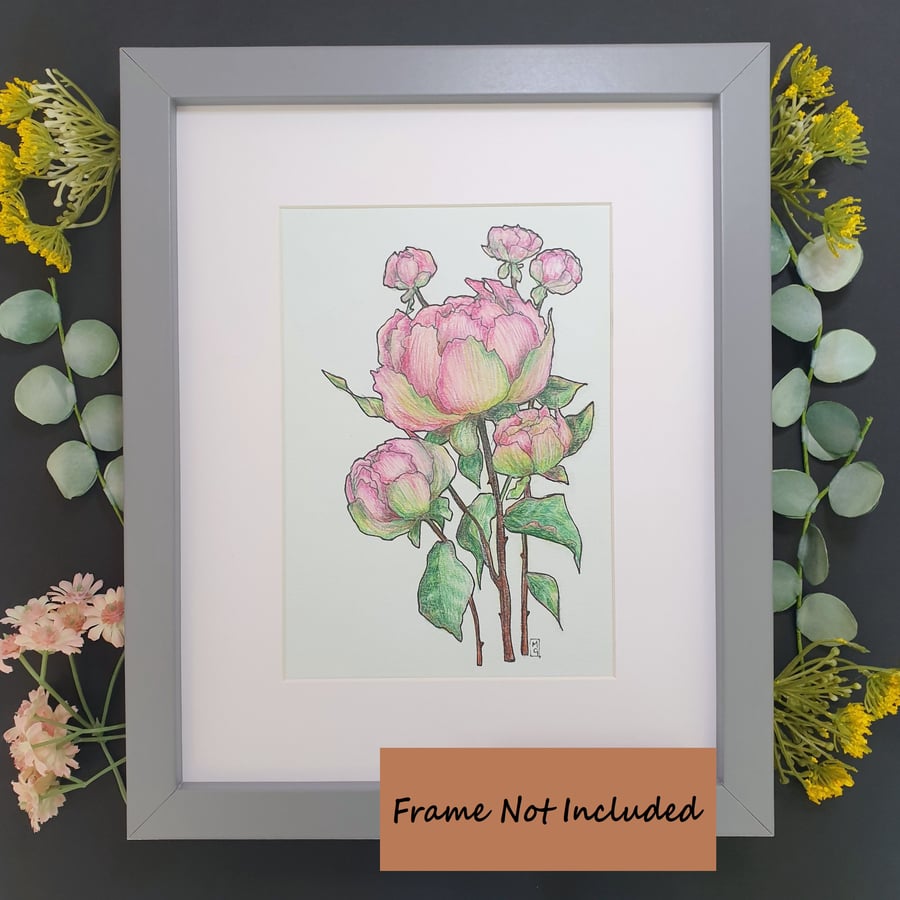 Pink Peonies, Original flower drawing, small floral wall art