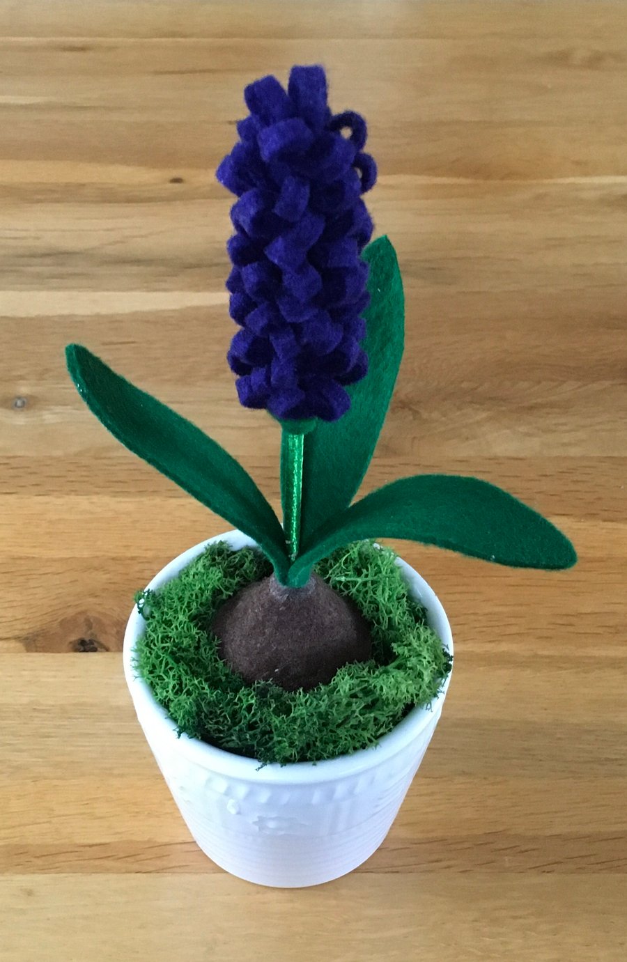 Hyacinth Bulb in a Pot