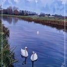 Swans In Moon Light Norfolk Greeting Card A5