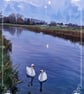 Swans In Moon Light Norfolk Greeting Card A5