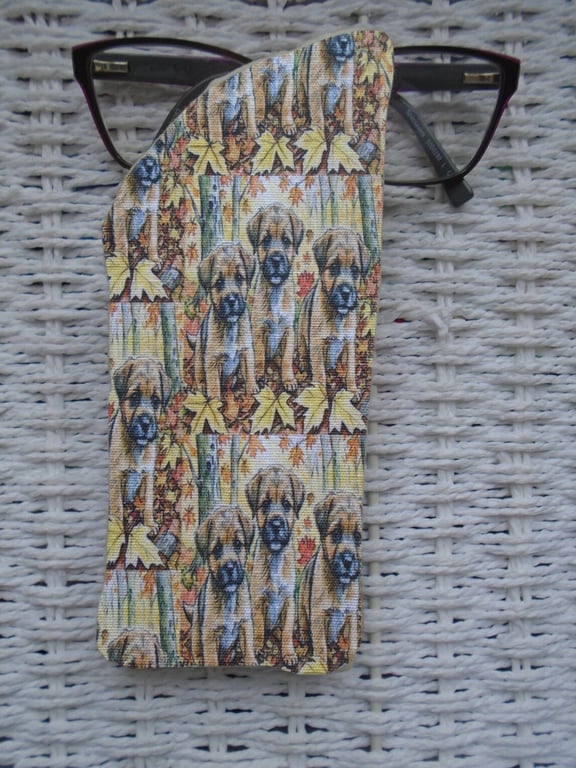Border Terrier Dogs Glasses Case 