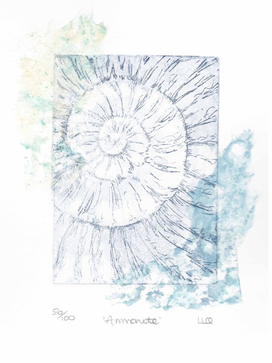 Etching no.56 of an ammonite fossil with chine colle in an edition of 100