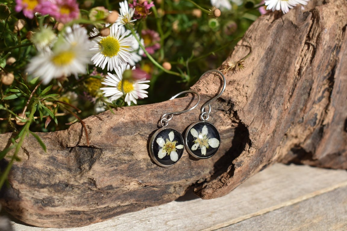 Pressed Willow Flower Resin Earrings, 304 Stainless Steel, Made in Scotland