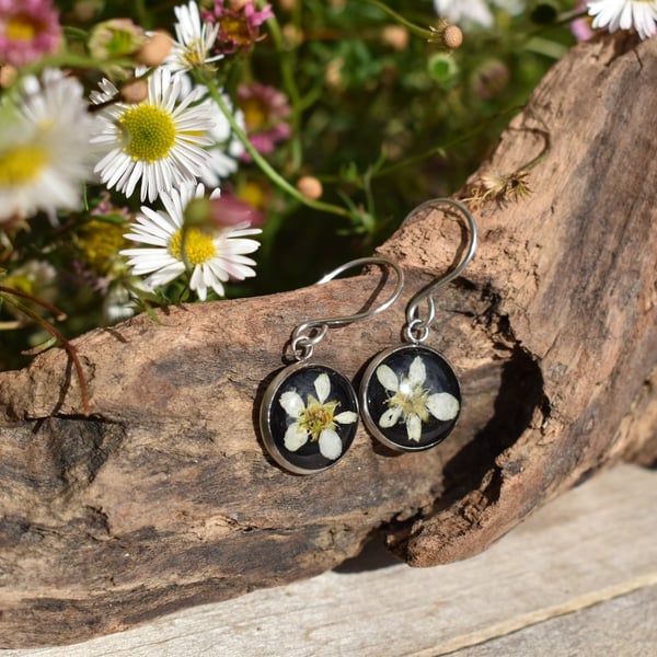 Pressed Willow Flower Resin Earrings, 304 Stainless Steel, Made in Scotland