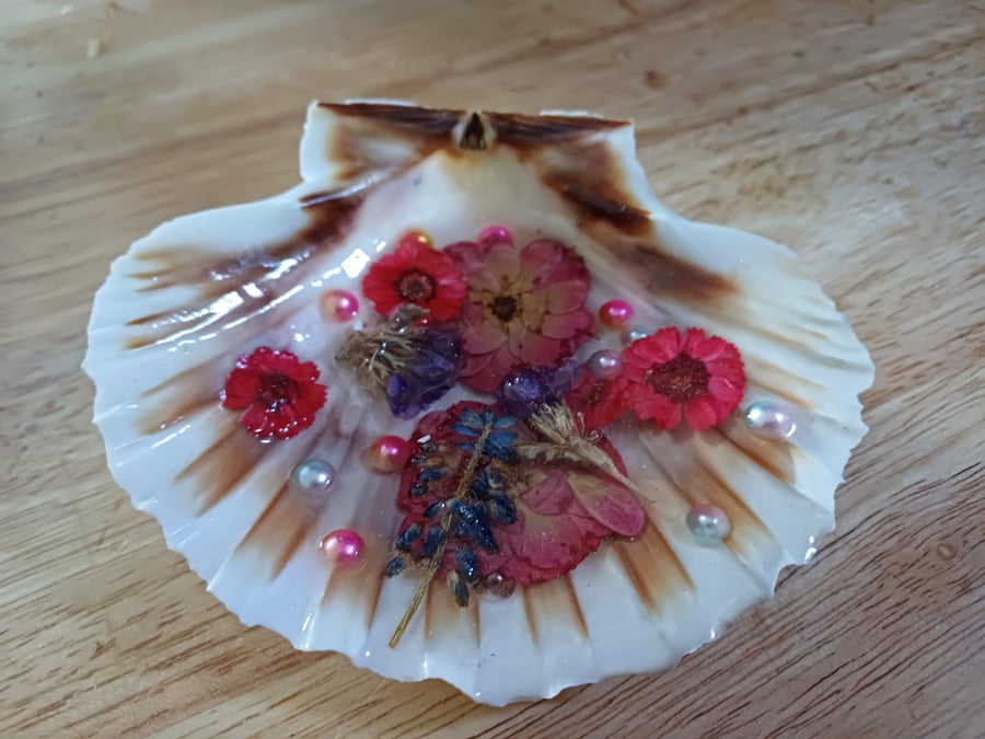 Crimson Scallop Shell Ornament with Dried Flowers, Preserved in Resin