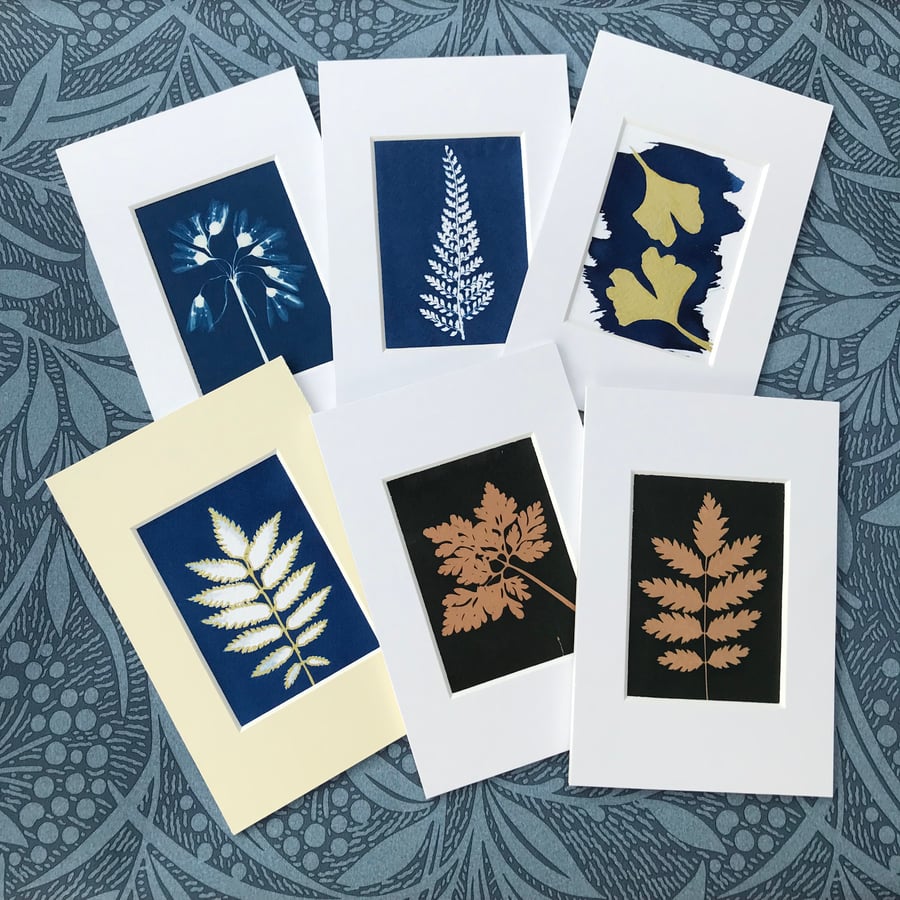 Miniature Cyanotype Art in Photograms, handmade from real Botanicals.