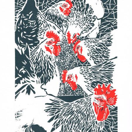 Hens - Flock of White Sussex Hens - Original linocut print