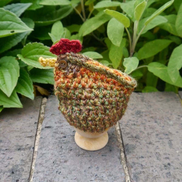 Cute Chicken Egg Cosy