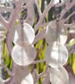 White hand carved shell sea earrings  - Image 3
