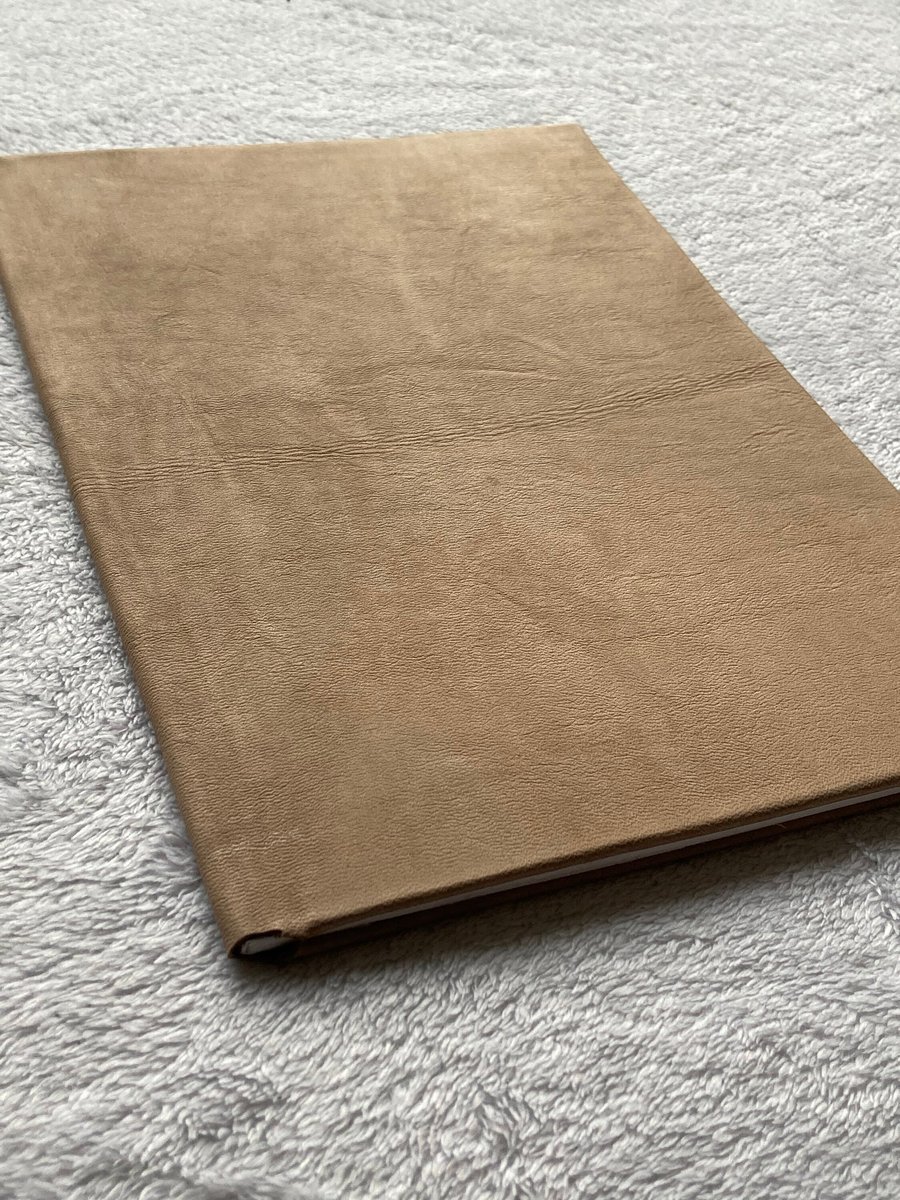 A4:  Softcover beige coloured leather bound A4 sized Fill In The Date Diary