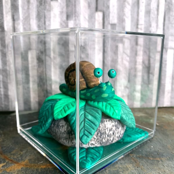 Snail In a Box