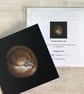 'Snuggle Up', sleeping dormouse, 14.5cm square wildlife art greetings card. - Image 5