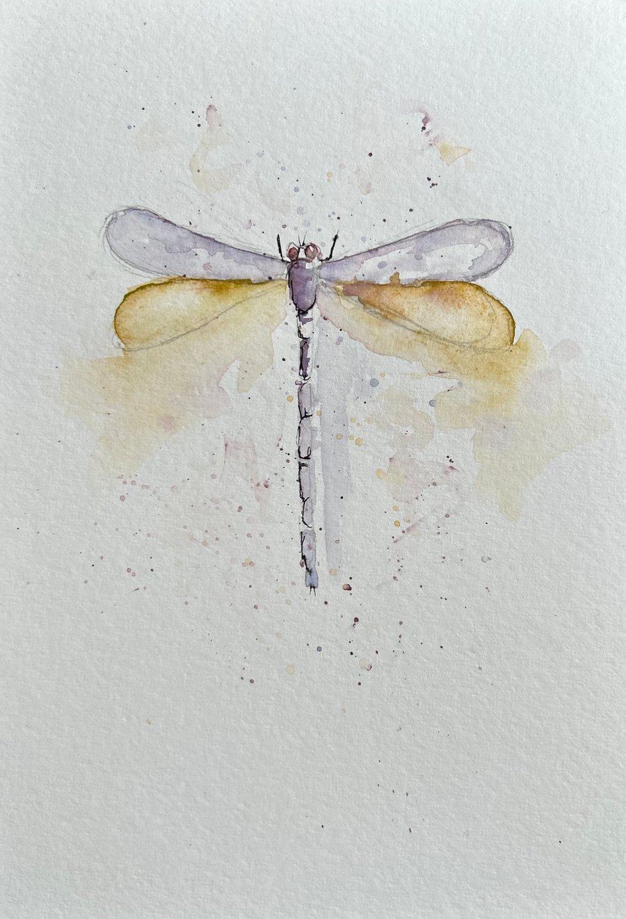 Watercolour Dragonfly