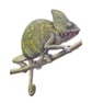 Chameleon Original Coloured Pencil Animal Drawing - Image 2