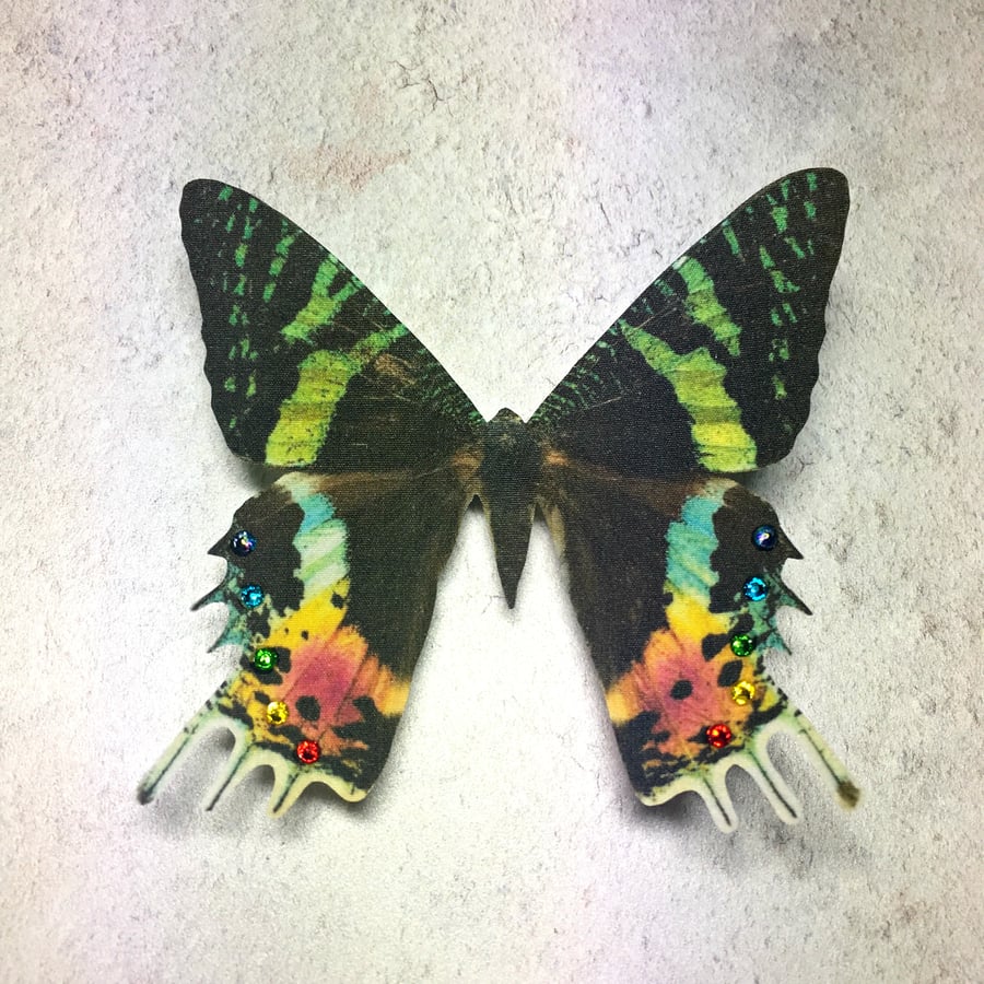 Silk Madagascan Sunset Moth hair clip with a rainbow Swarovski Crystals. 
