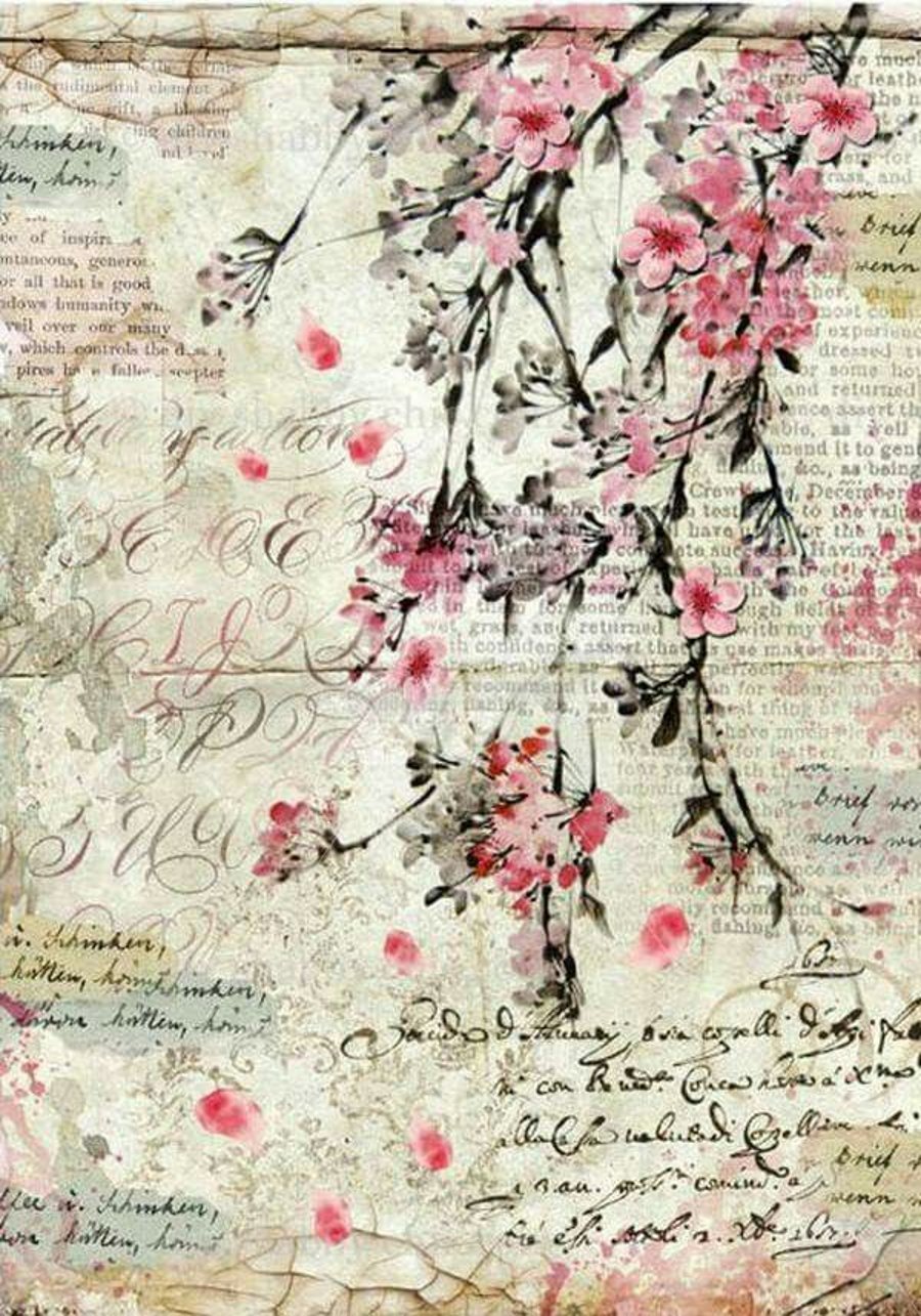 Waterslide Furniture Decal Vintage Image Transfer DIY Shabby Chic Cherry Blossom