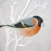 Bullfinch Garden Bird - Fused Glass Hanging - Sun Catcher - Wall Ornament