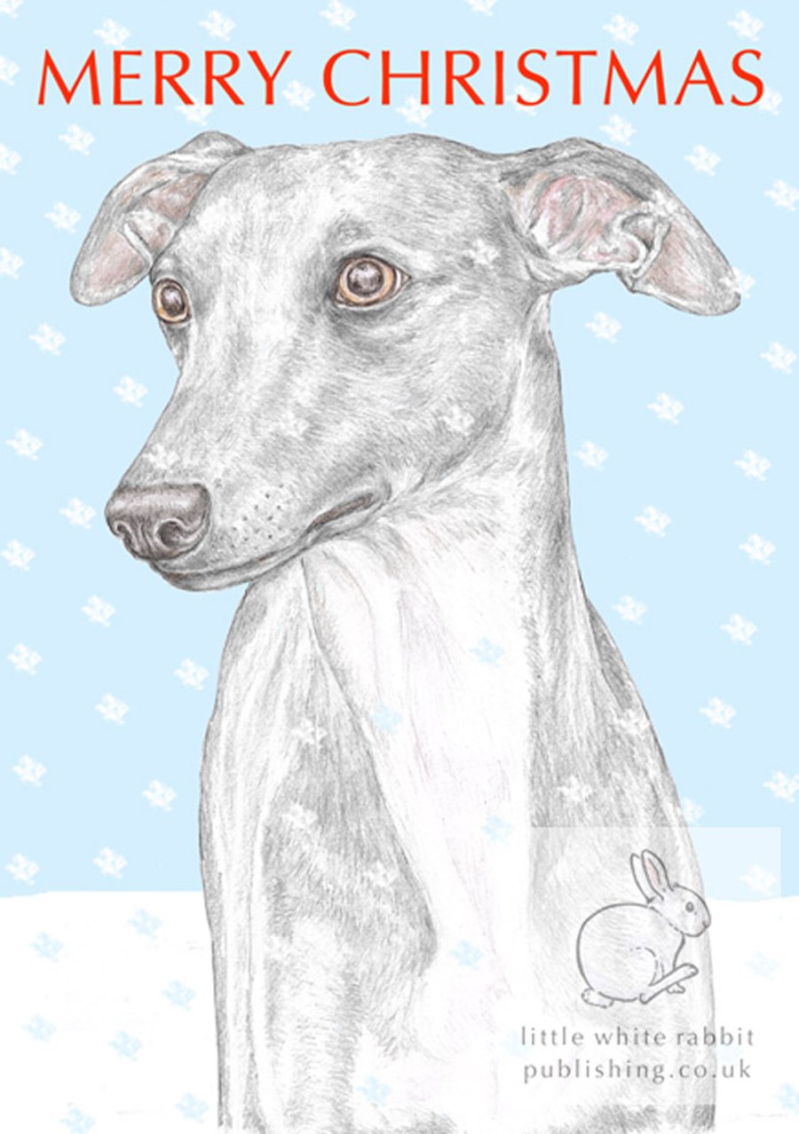 Jim the Whippet - Christmas Card