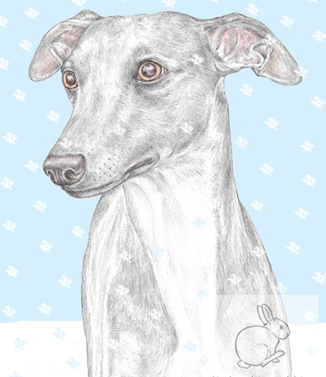 Gifts for Dog Lovers