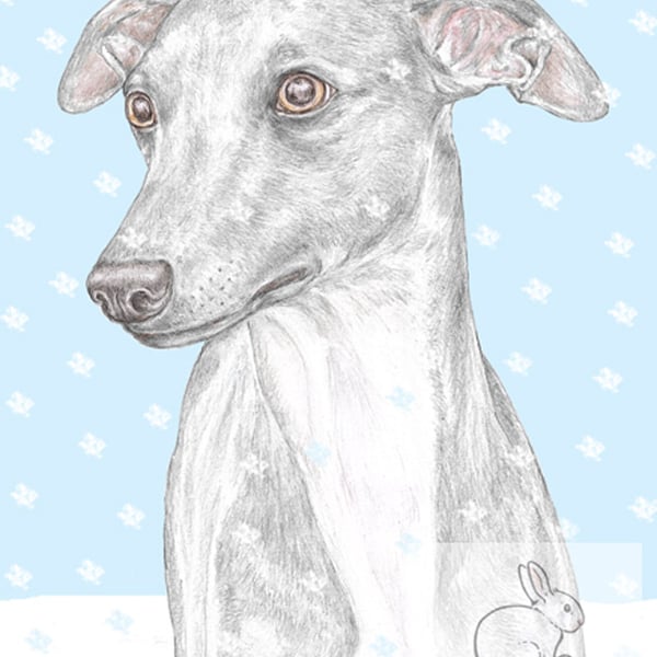 Jim the Whippet - Christmas Card