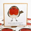 Robin - Box of 12 Small Christmas Cards, festive garden birds