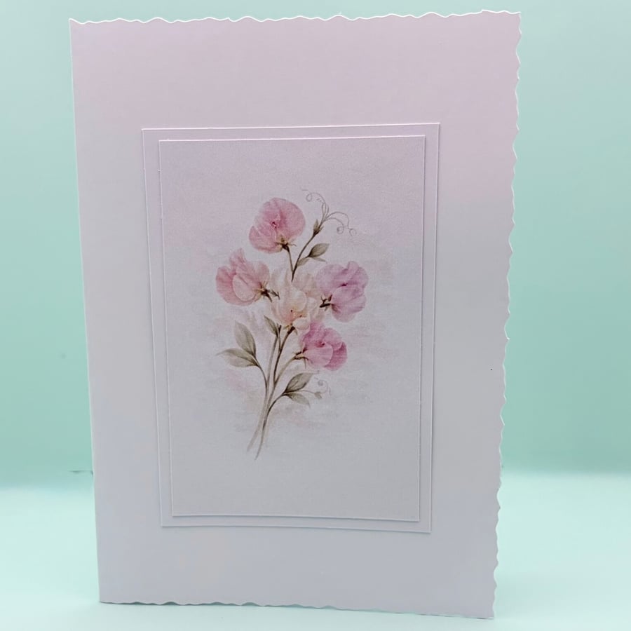 A6 Card set of 4 - Sweet Pea Birth Flower Botanical Blank Greeting Cards