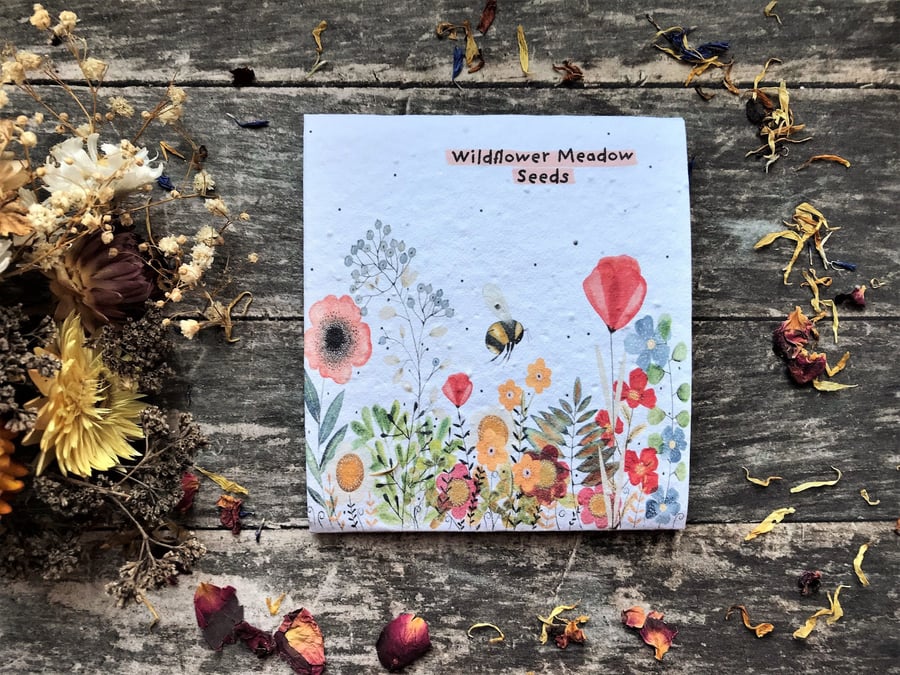 Pack of Wildflower Meadow Seeds, Quirky illustrated nature inspired gifts 