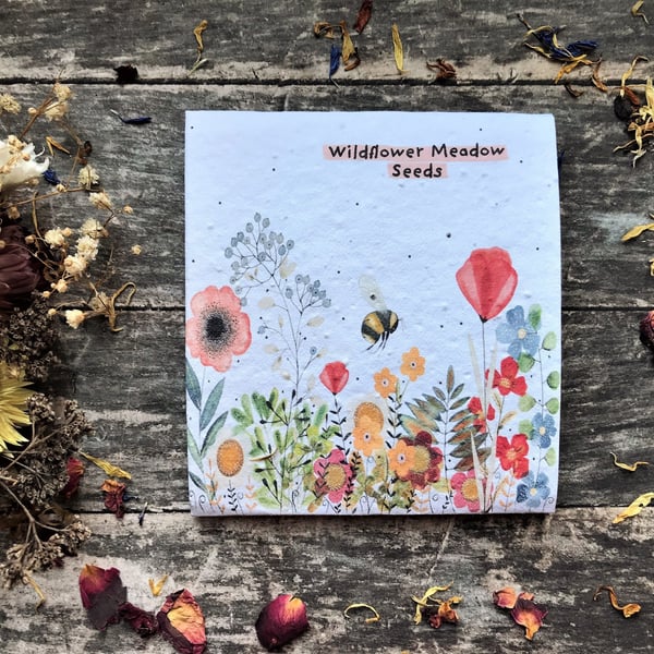 Pack of Wildflower Meadow Seeds, Quirky illustrated nature inspired gifts 