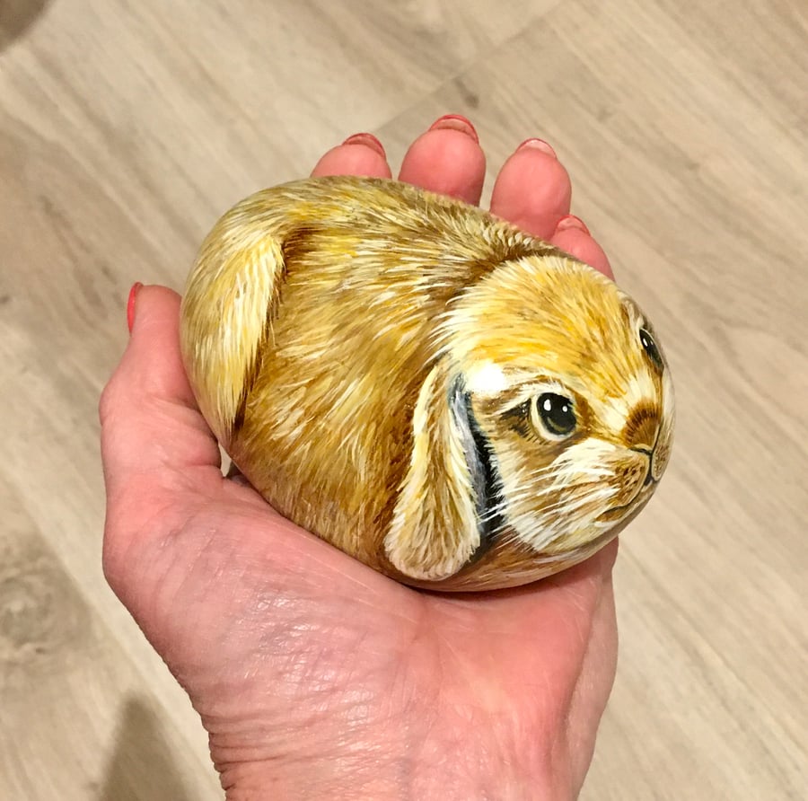 Rabbit lop eared pet garden stone portrait rock art animal 