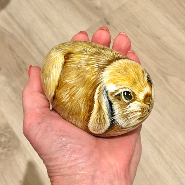 Rabbit lop eared pet garden stone portrait rock art animal 