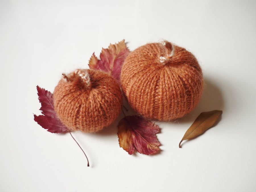 Limited edition pumpkins - Back to school teacher gift - Thanksgiving decor