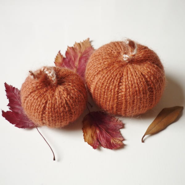 Limited edition pumpkins - Back to school teacher gift - Thanksgiving decor