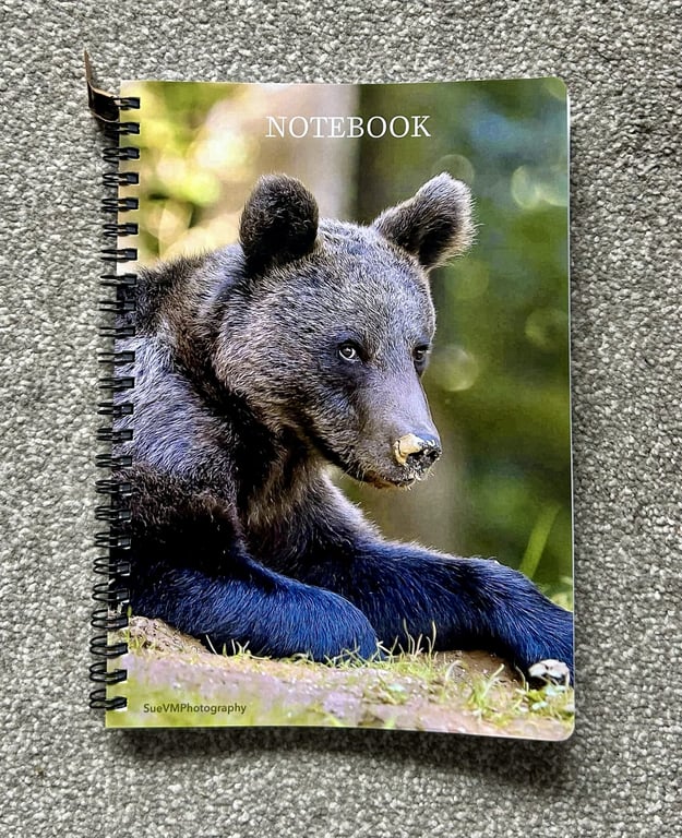 Bear Cub A5 Spiral Bound Lined Notebook - FREE POSTAGE AND PACKAGING