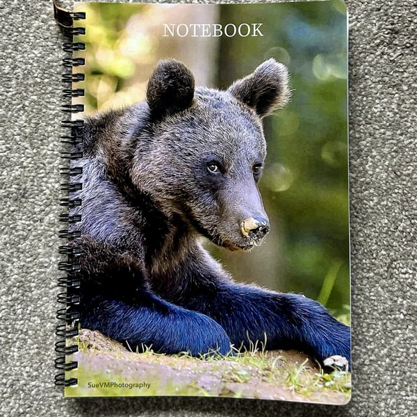 Bear Cub A5 Spiral Bound Lined Notebook - FREE POSTAGE AND PACKAGING