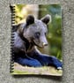 Bear Cub A5 Spiral Bound Lined Notebook - FREE POSTAGE AND PACKAGING - Image 1