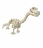 Brachiosaurus Skeleton Fidget Toy, Articulated Dinosaur Fossil Figurine, 3D Prin