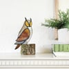 Long Eared Owl 