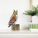 Long Eared Owl 
