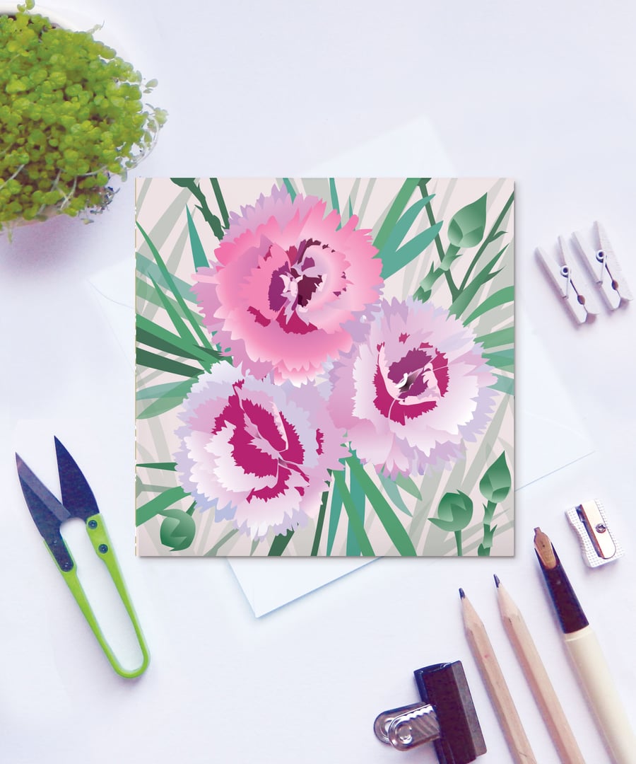 Pinks Card - Dianthus, Summer, floral, blank card