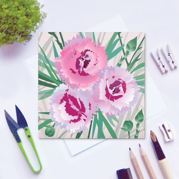 Pinks Card - Dianthus, Summer, floral, blank card